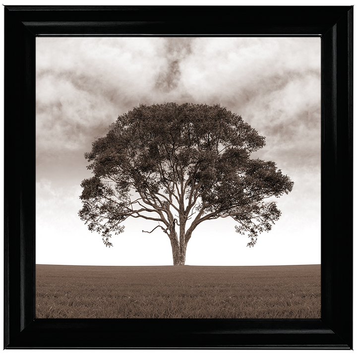 LS189 Lone Tree