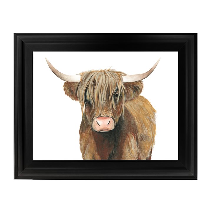 AN009 Highland Cattle II