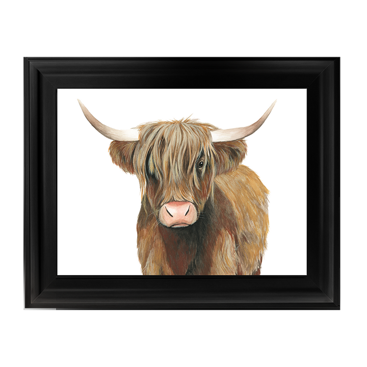 AN009 Highland Cattle II
