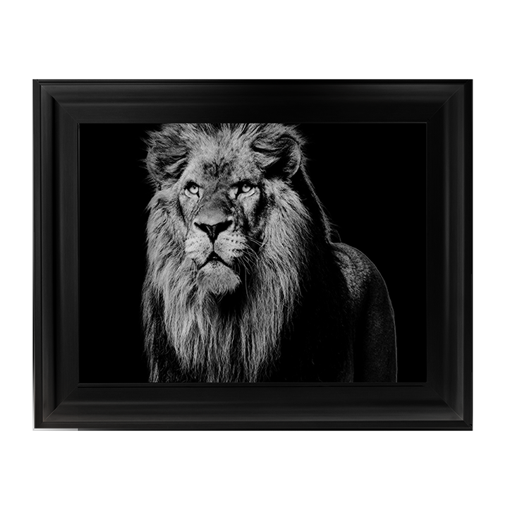 Dark Night Leo