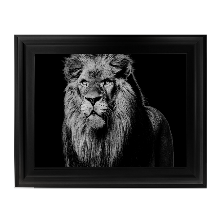 Dark Night Leo
