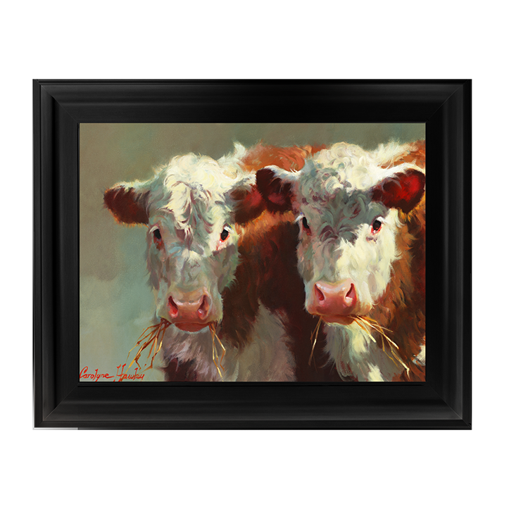 Cow Belles