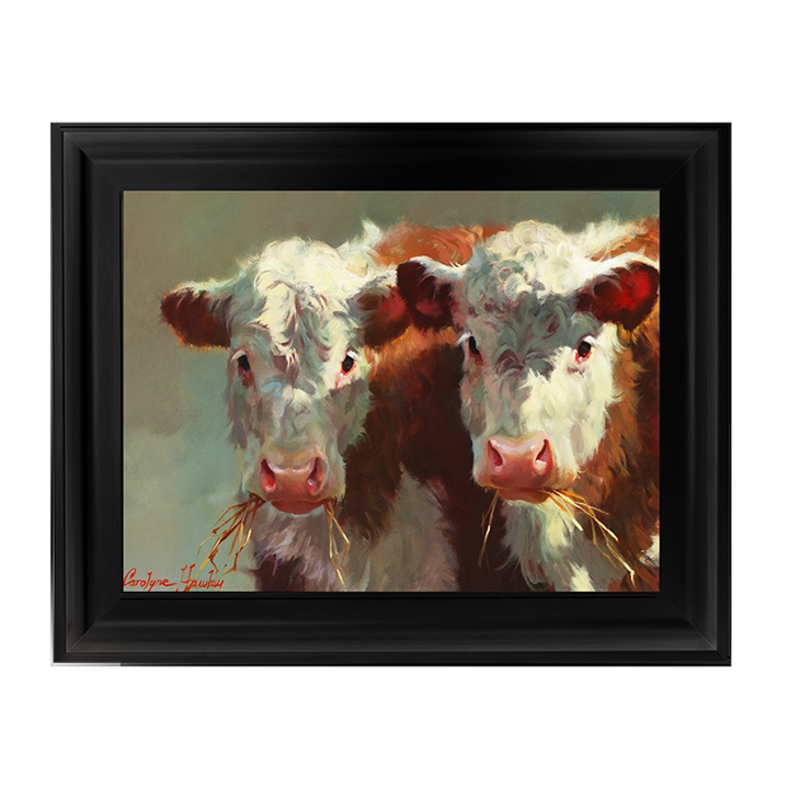 Cow Belles