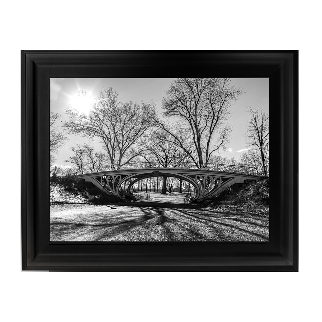 Walkway bridge in Central park, New York