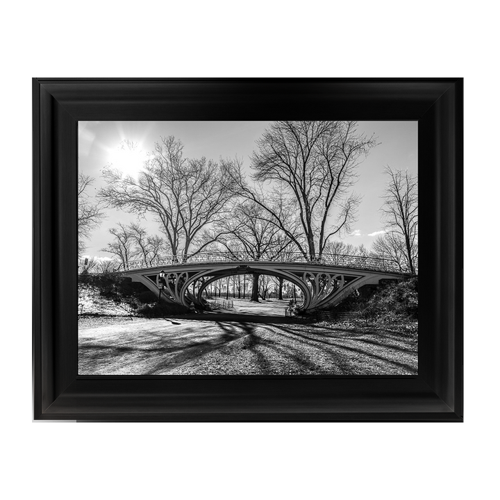 Walkway bridge in Central park, New York