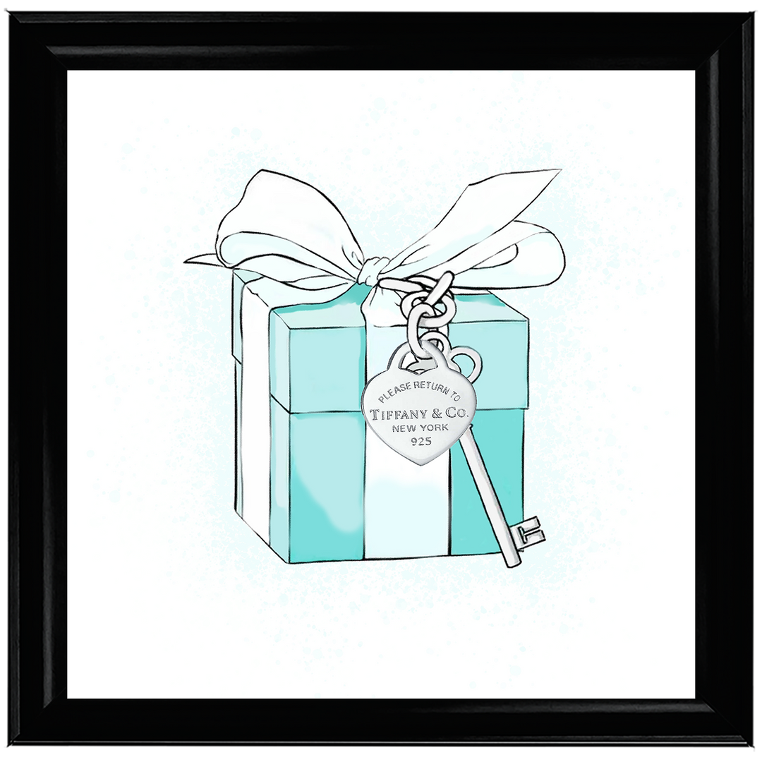 FS617 Fashion Box