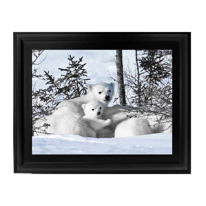 Winter Cubs