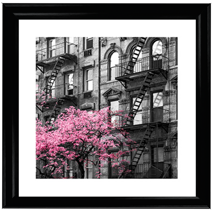 Pink City