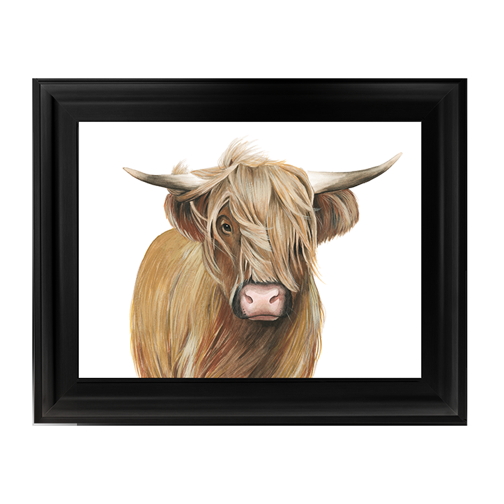 Highland Cattle I