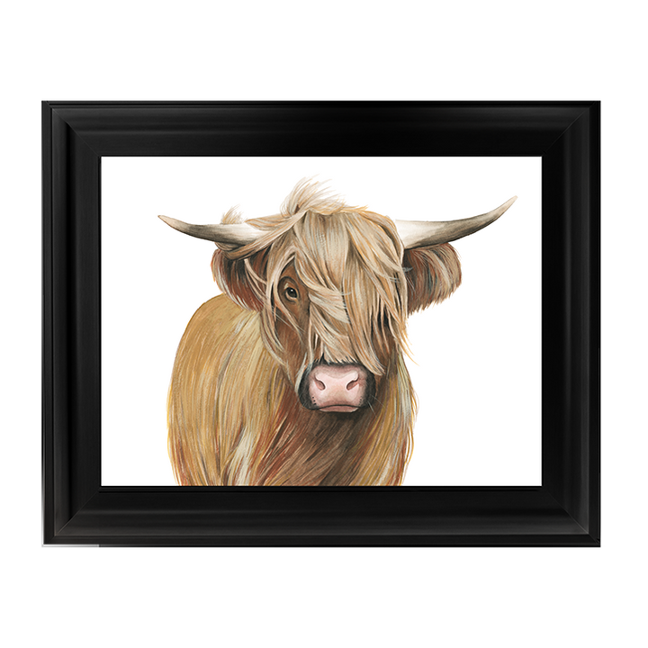 Highland Cattle I