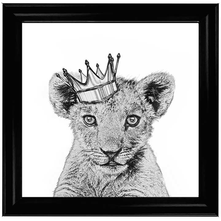 Prince Cub