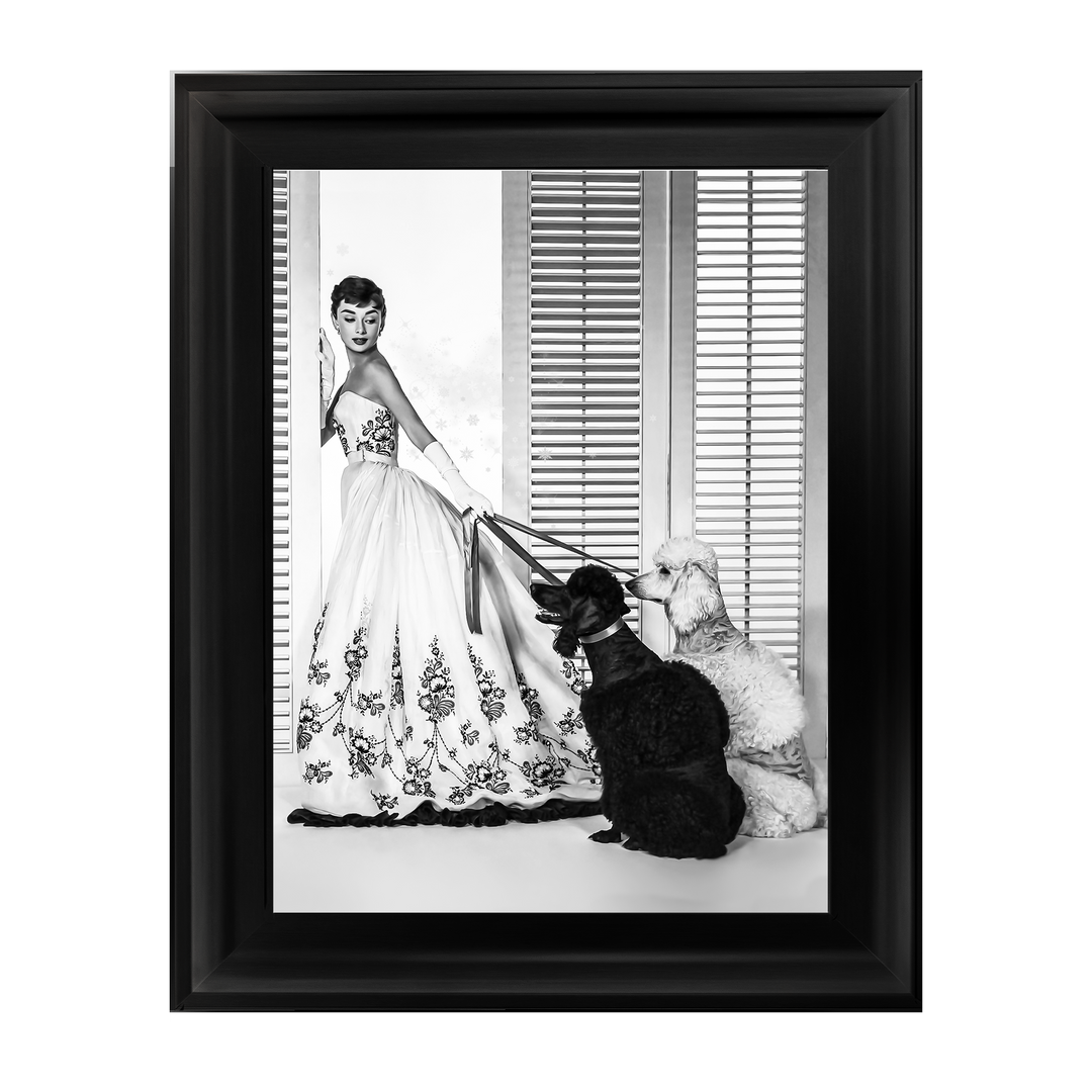 IC005 Audrey Hepburn Poodles