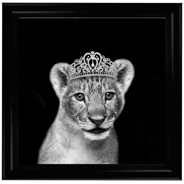 Princess Cub Silver