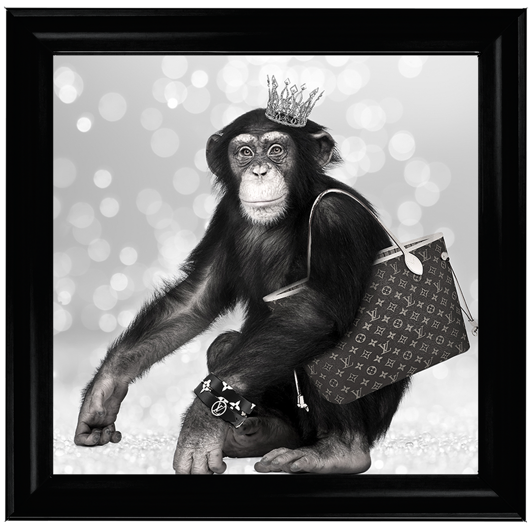 AN151 Designer Monkey