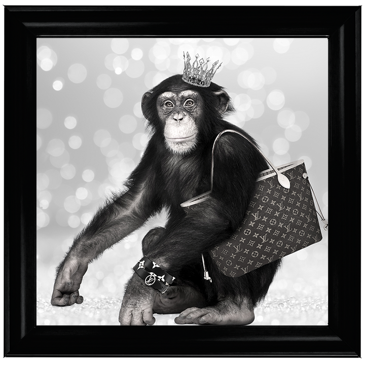 AN151 Designer Monkey