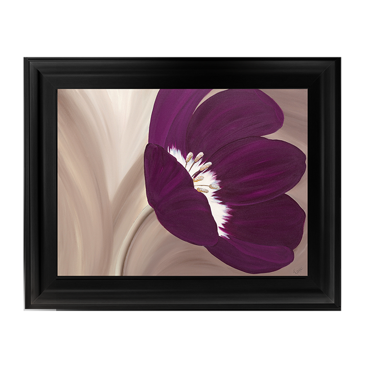 Velvet Poppy