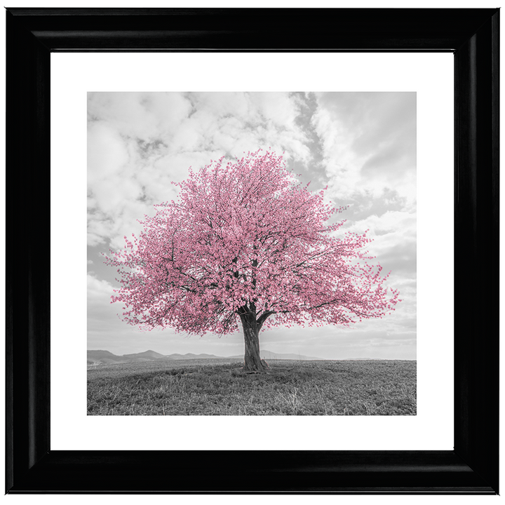LS123 Pink Lone Tree