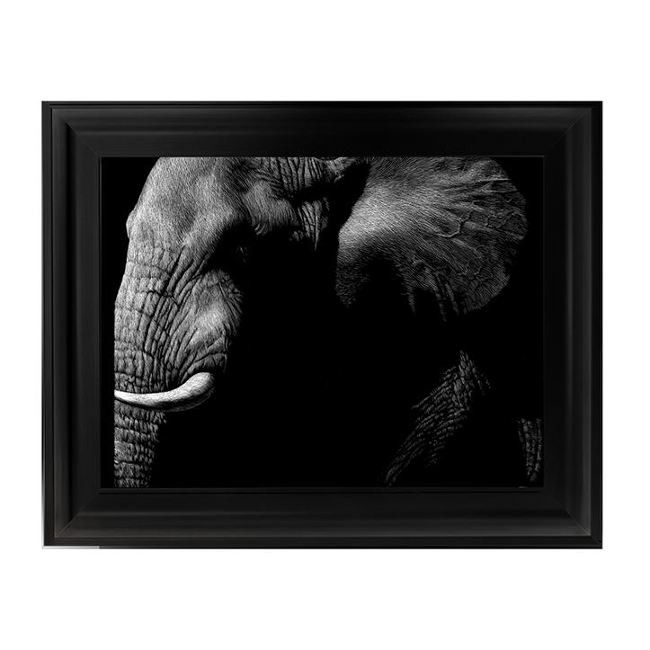 AN026 Wildlife Scratchboards III