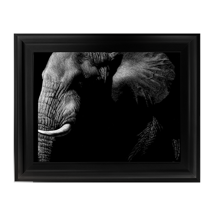 AN026 Wildlife Scratchboards III