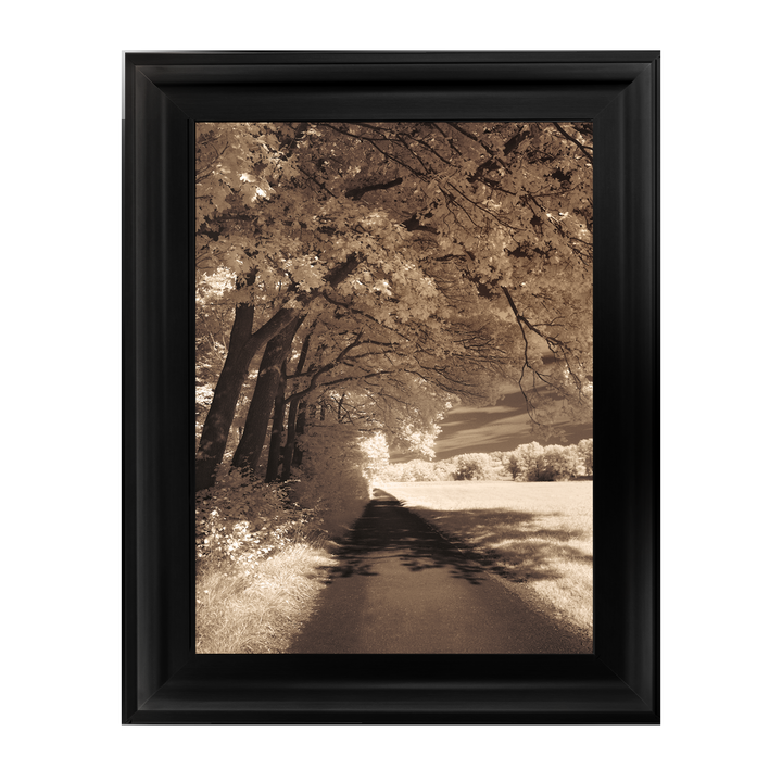 The Path Ahead