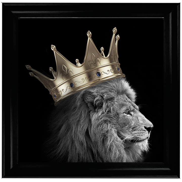 AN297 King Lion Gold