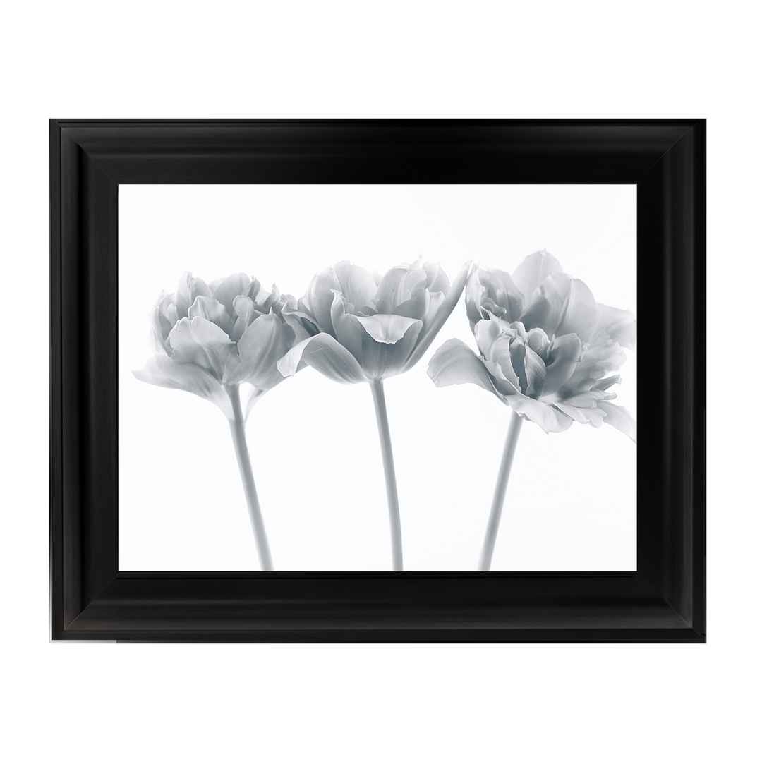 Set of 3 flowers II