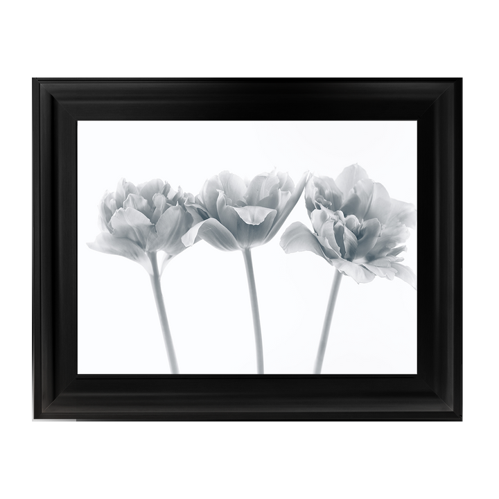 Set of 3 flowers II