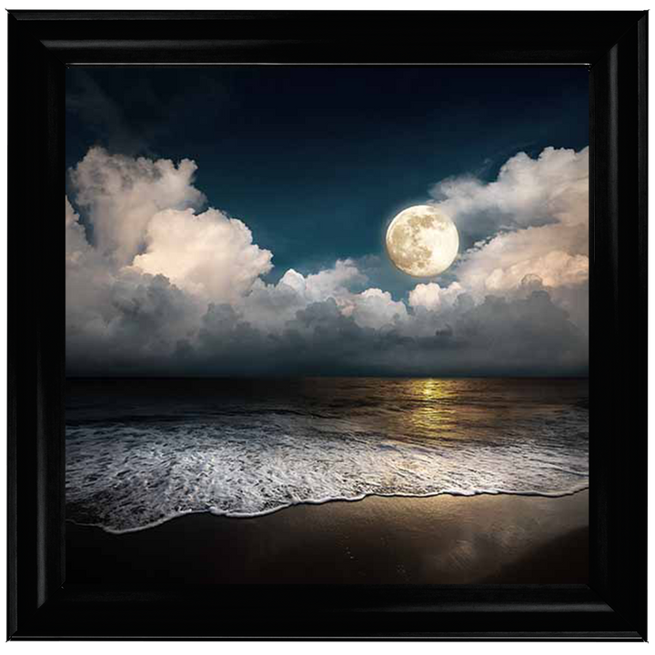 LS294 Full Moon At Twilight |