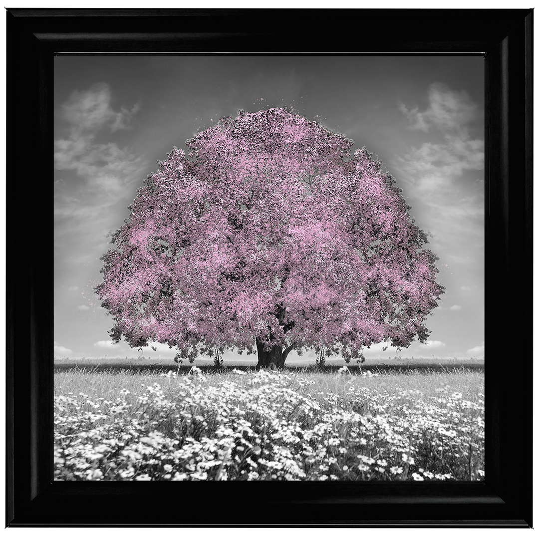 LS275 Pink Oak Tree