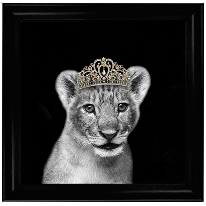 Princess Cub Gold