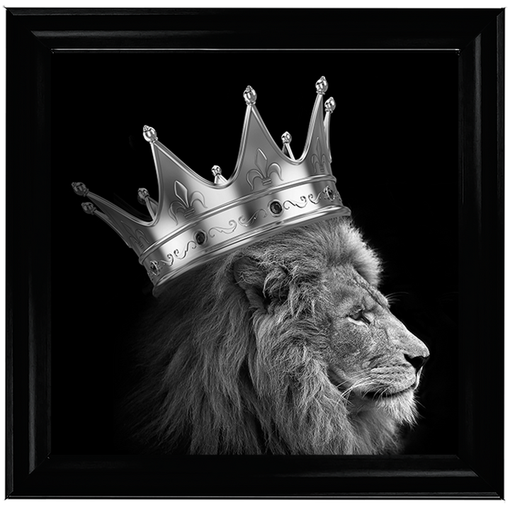 AN298 King Lion Silver