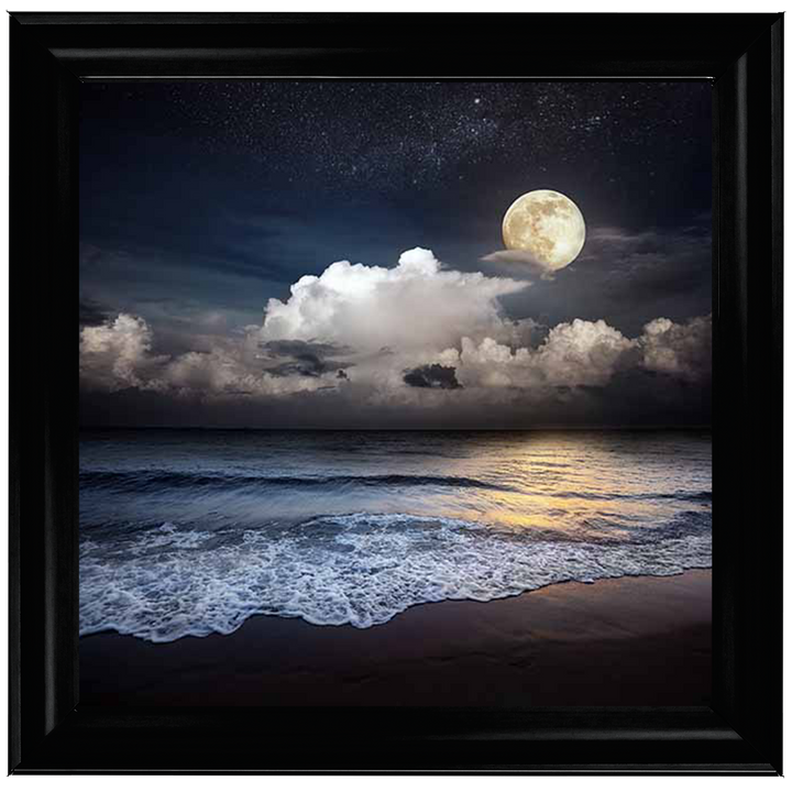 LS295 Full Moon At Twilight ||