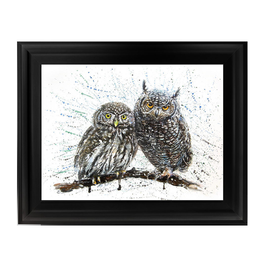 Owls