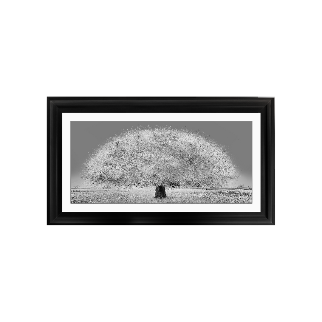LS205 Black and white tree