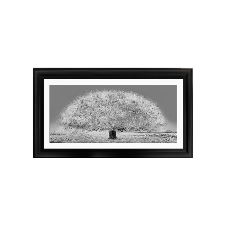 LS205 Black and white tree