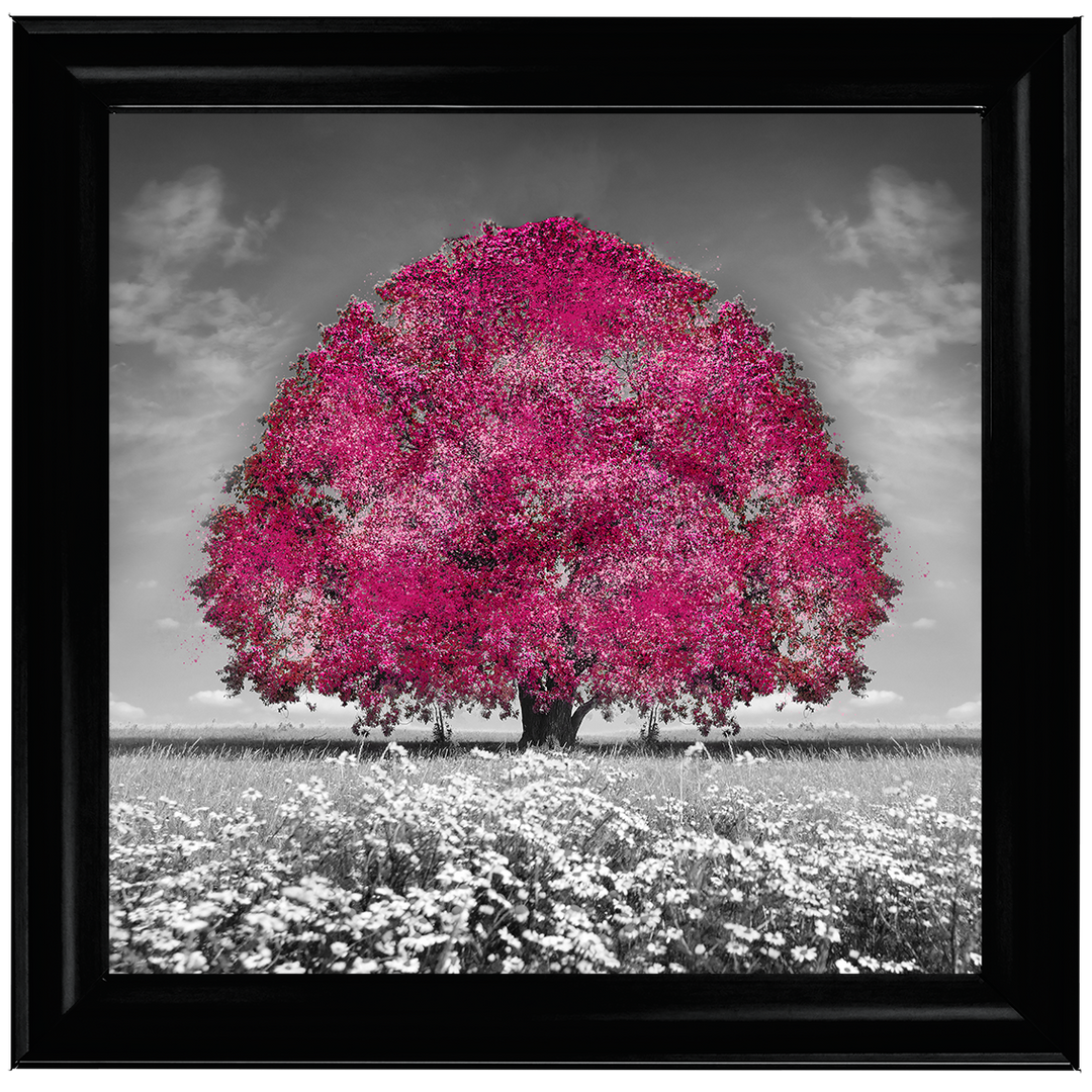 LS272 Pink Oak Tree