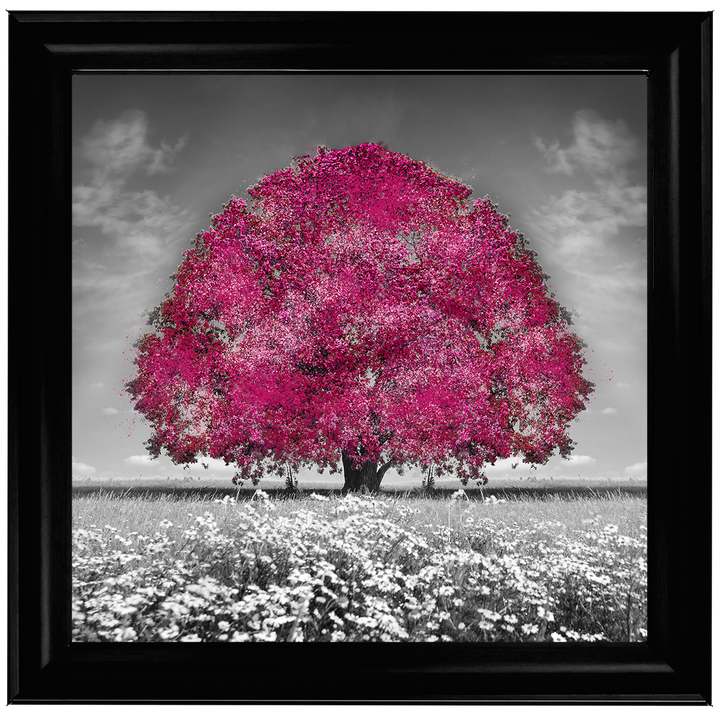 LS272 Pink Oak Tree