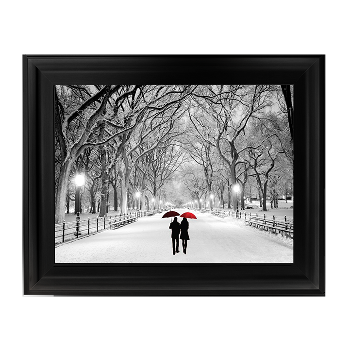 Walk through the snowy park