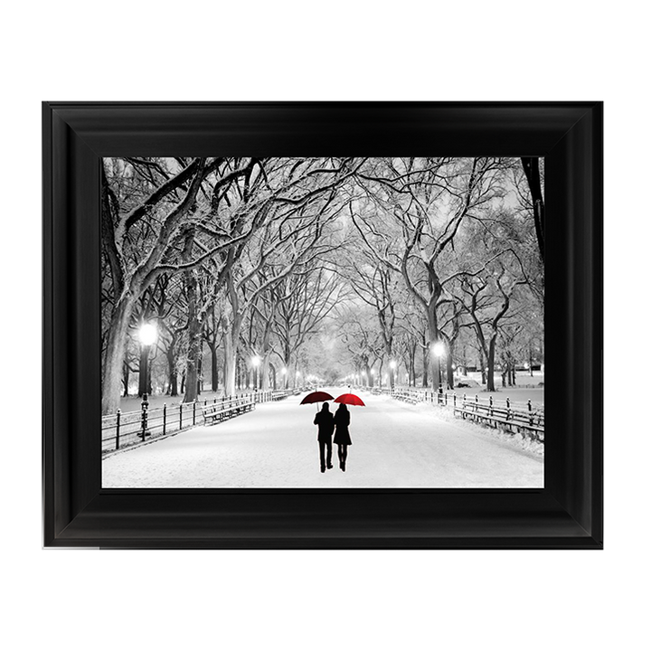 Walk through the snowy park