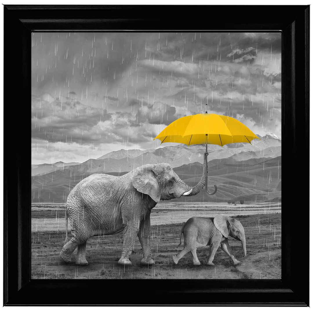 AN343 I've got you (yellow) II