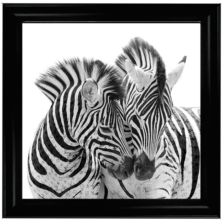 AN285 Zebra Love