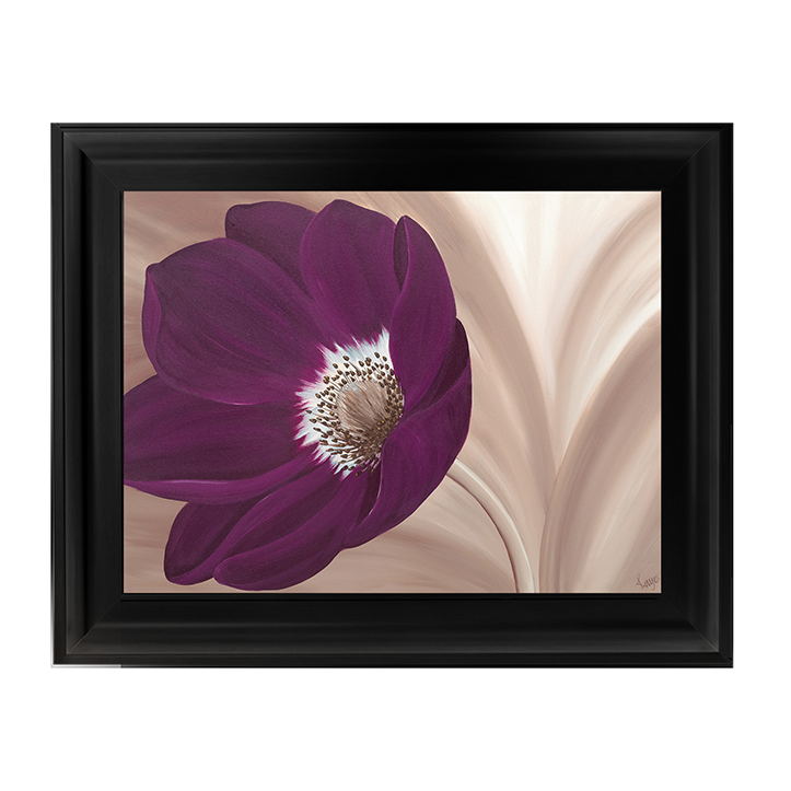 Velvet Anemone