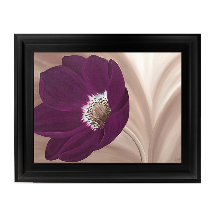 Velvet Anemone