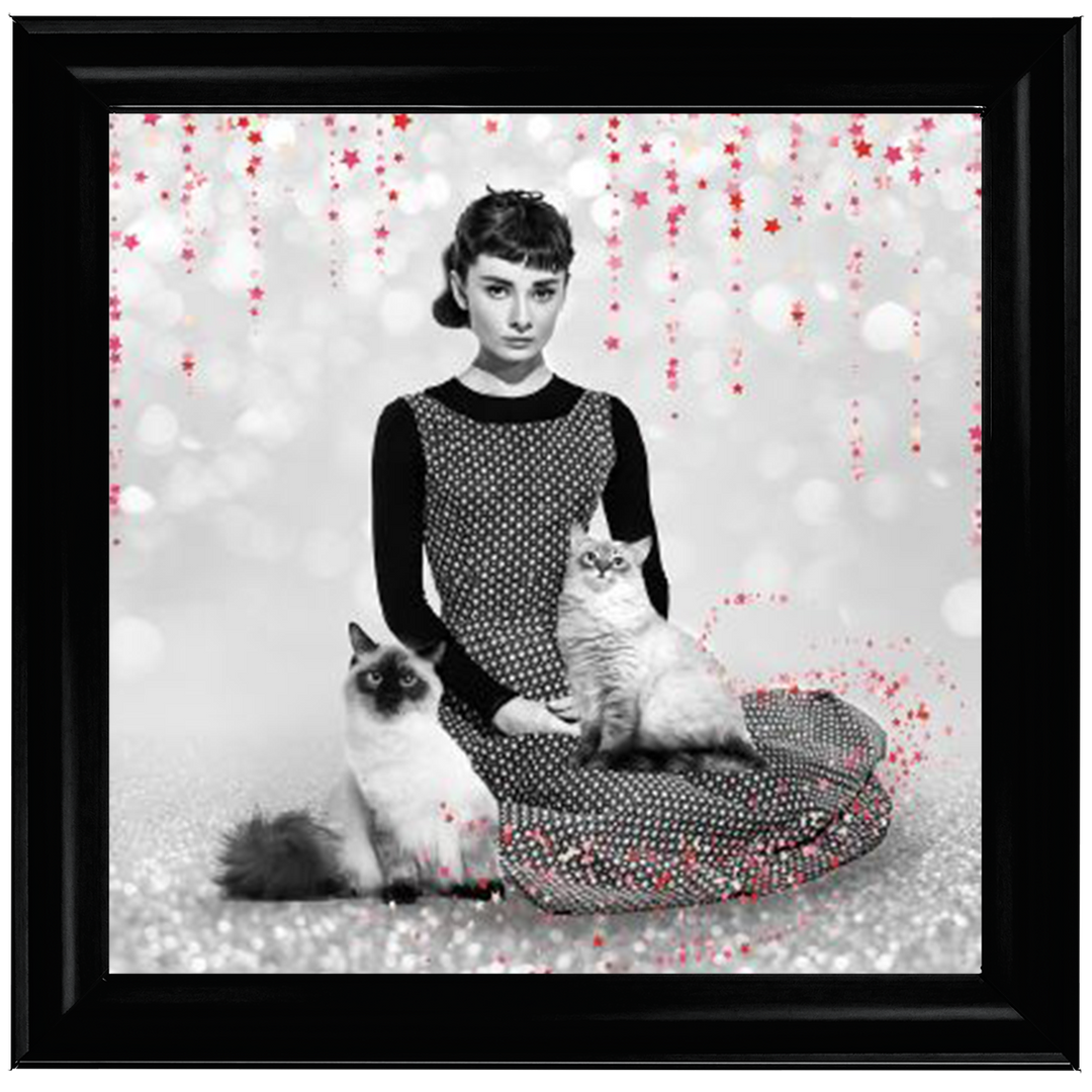 IC011 Audrey and cats