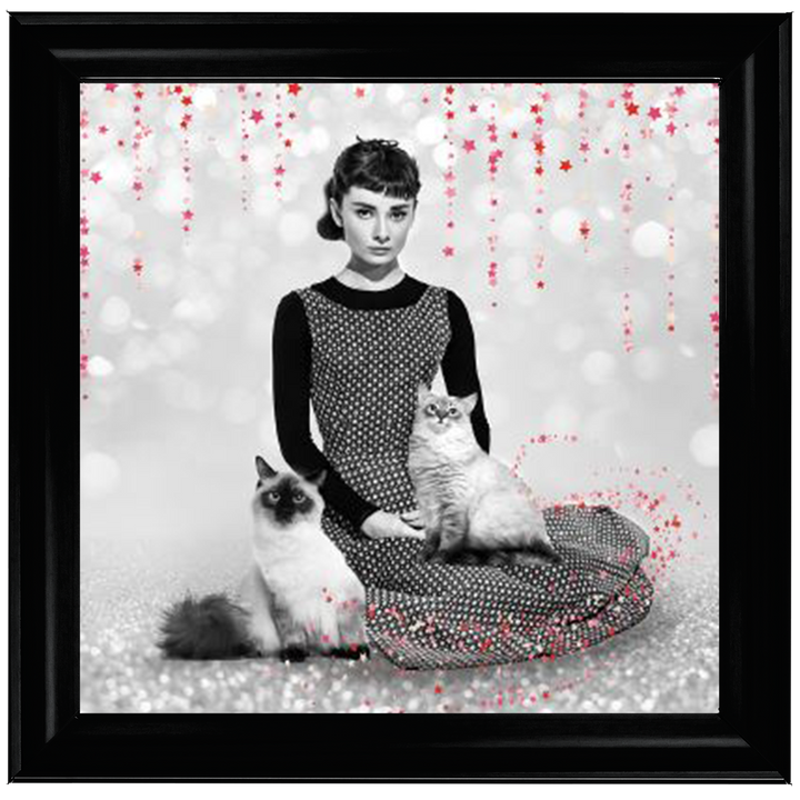 IC011 Audrey and cats