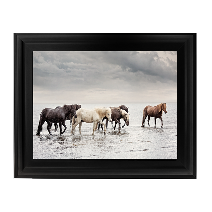 Water Horses IV