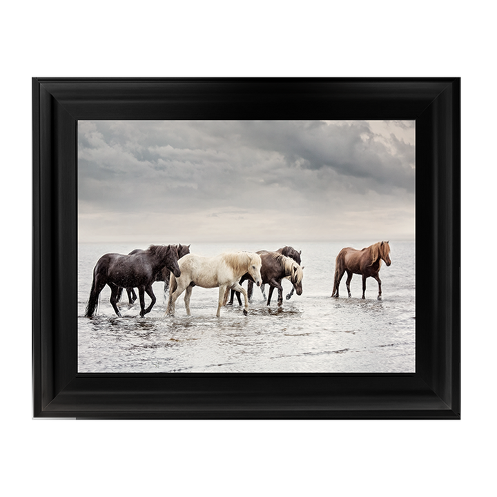 Water Horses IV