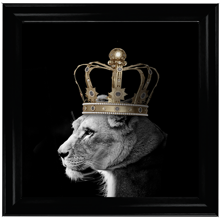 Queen Lion Gold