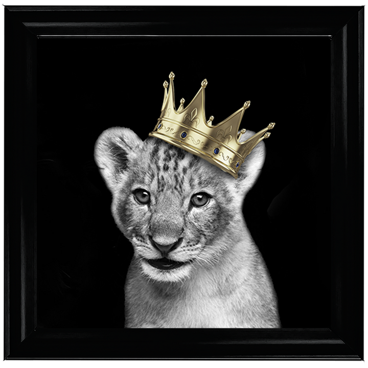Prince Cub Gold