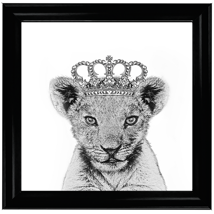 Princess Cub